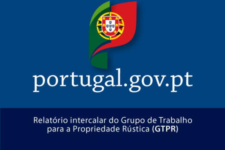 Relatório do Grupo de Trabalho para a Propriedade Rústica