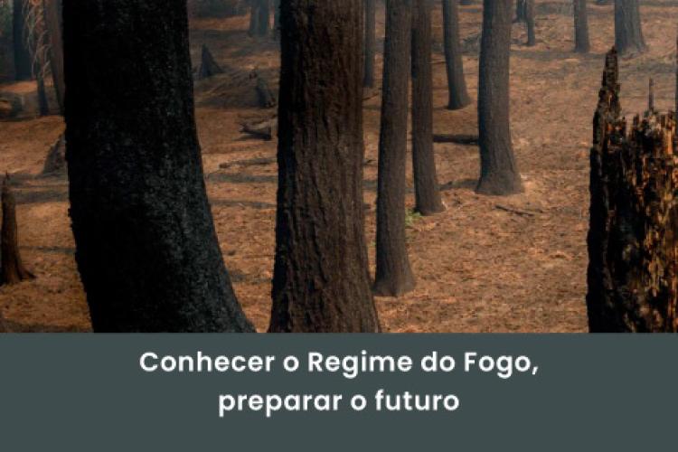 Cartografia de Regime do Fogo