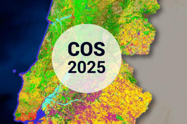 cos2025