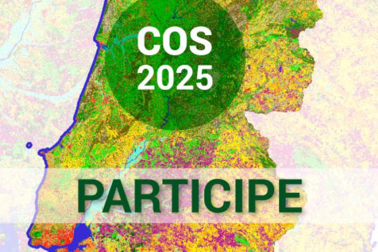 COS2025