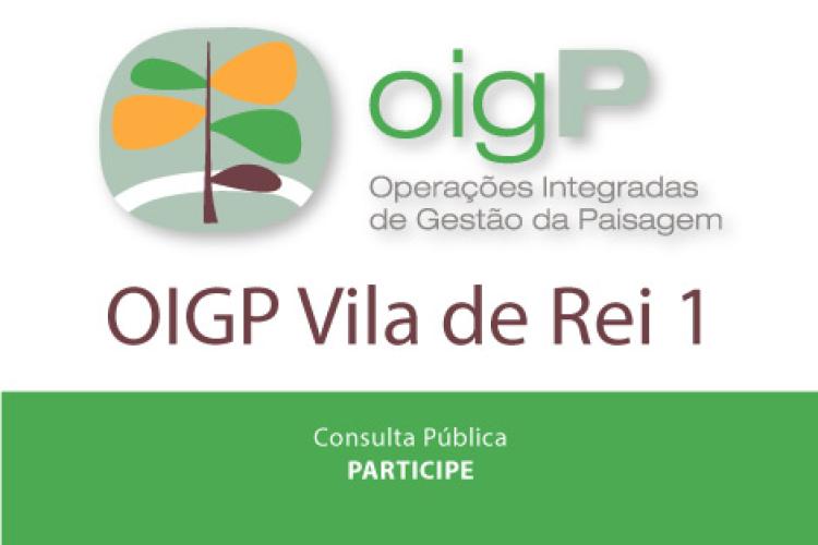 Consulta Pública OIGP Vila de Rei I