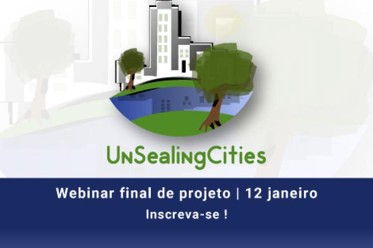 Webinar Final de projeto | 12 de janeiro 
