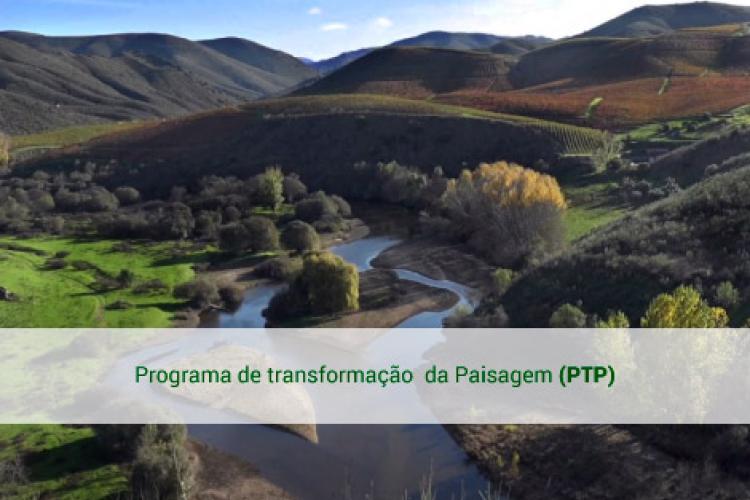 Programa de transformação da paisagem (PTP)
