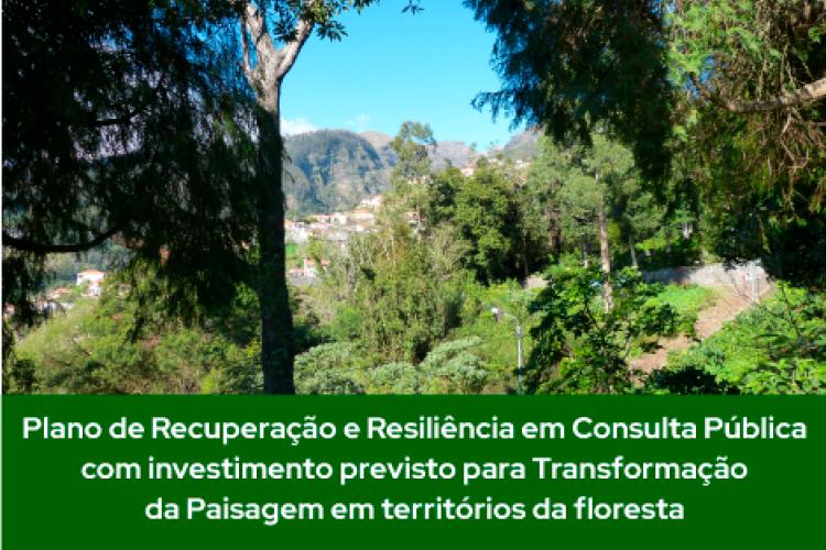 Plano de Recuperação e Resiliência em Consulta Pública