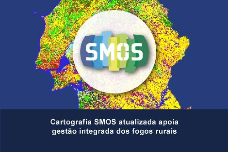 Cartografia SMOS no apoio à gestão integrada dos fogos rurais