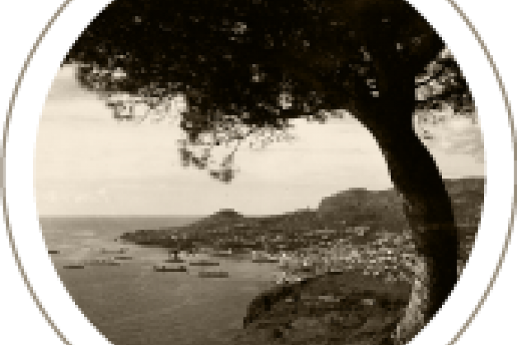 Levadas da Ilha da Madeira (ca. 1940) - Fotos Perestrelos 
