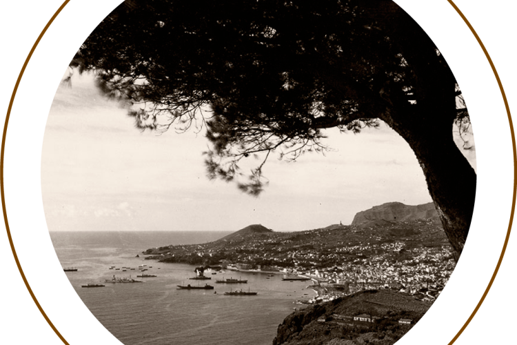 Levadas da Ilha da Madeira (ca. 1940) - Fotos Perestrelos