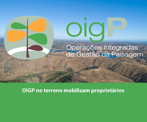 OIGP no terreno