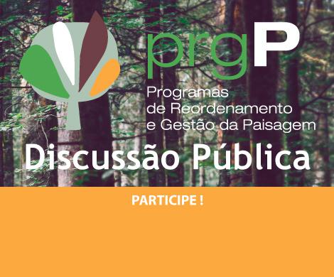 Discussão Publica Participe