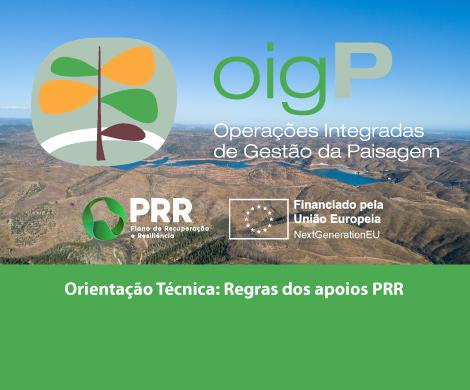 Orientação técnica: Regras dos apoios PRR