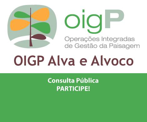 Consulta Pública OIGP