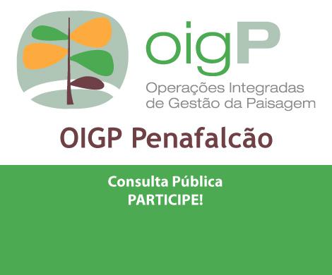 OIGP Penafalcão