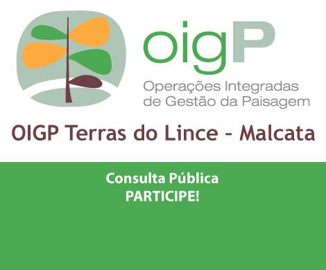 Terras do Lince - Malcata Consulta Pública