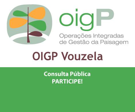 Discussão Pública da OIGP de Vouzela