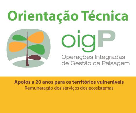 Orientação Técnica Serviços dos Ecosistemas