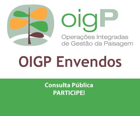 Consulta pública OIGP Envendos