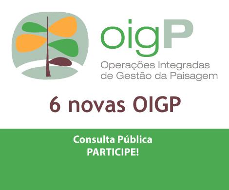 Discussão Pública das OIGP