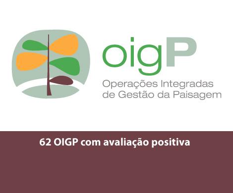 62 OIGP com avaliação positiva