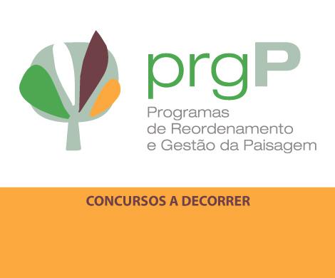 Concursos a decorrer