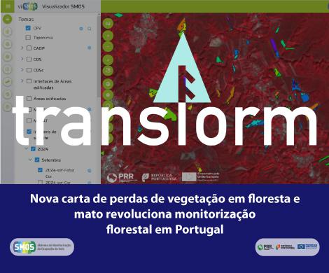 Inovação TRANSFORM