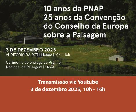 Destaque PNAP para visionamento no youtube