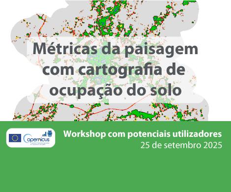 Métricas da paisagem com cartografia de ocupação do solo