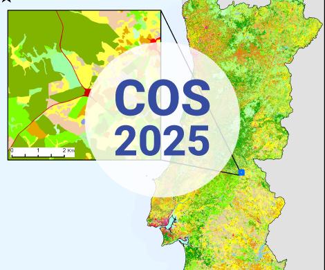 COS2025