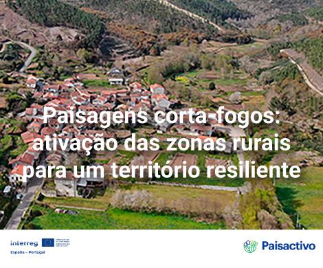 Projeto Paiactivo webinars