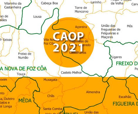 Carta Administrativa Oficial de Portugal - CAOP 2021