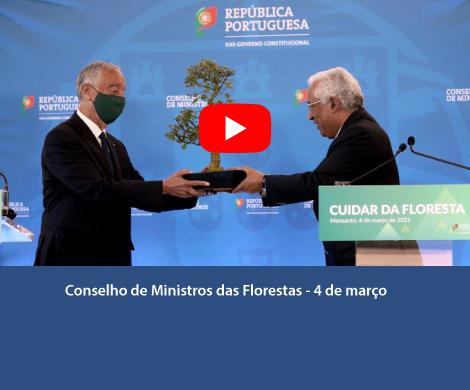 Conselho de Ministros das Florestas - 4 de março