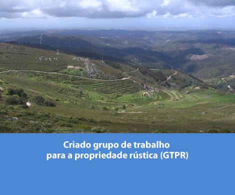 Criado grupo de trabalho para a propriedade rústica (GTPR)