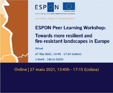 ESPON Peer Learning Workshop - Online | 27 maio 2021