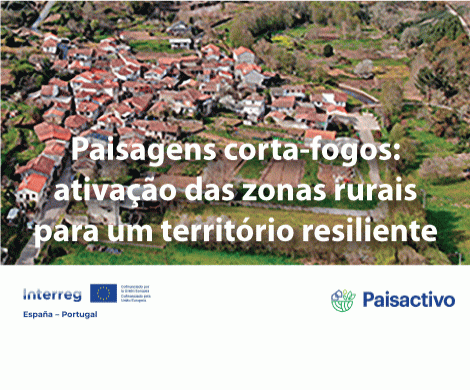 projeto PAISACTIVO