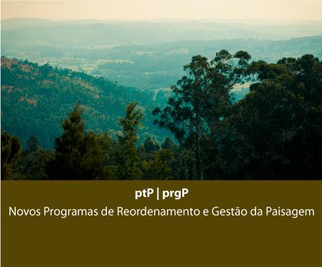 Novos Programas de Reordenamento e Gestão da Paisagem