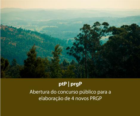 Abertura do concurso público para a elaboração de 4 novos PRGP