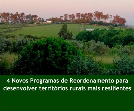 4 Novos Programas de Reordenamento para desenvolver territórios rurais mais resilientes
