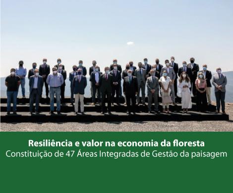 AIGP | Resiliência e valor na economia da floresta