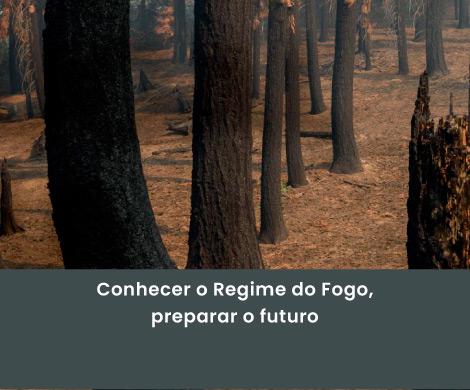 Cartografia de Regime do Fogo