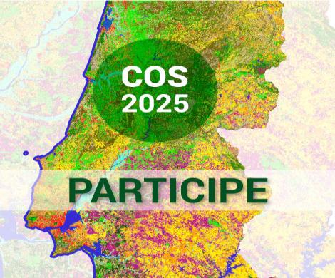 COS2025