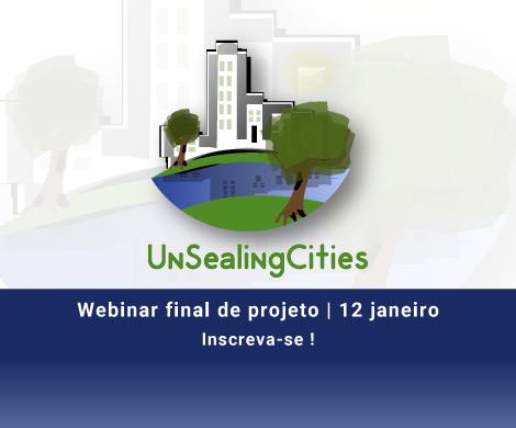Webinar Final de projeto | 12 de janeiro 