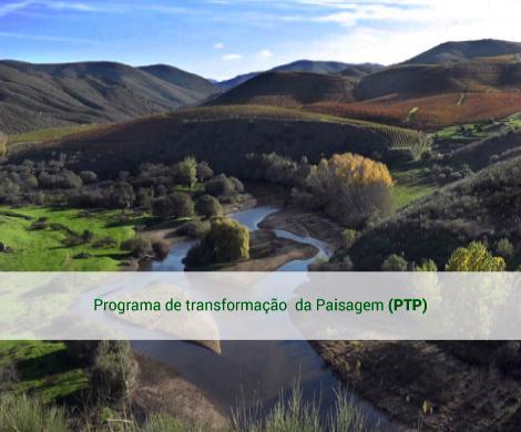 Programa de transformação da paisagem (PTP)